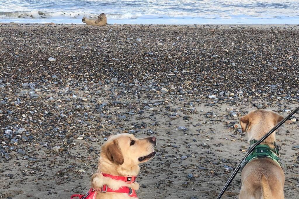 Dog Friendly Cottage 2 Mins To Beach With Hot Tub And Zappi Ev Lessingham Bagian luar foto