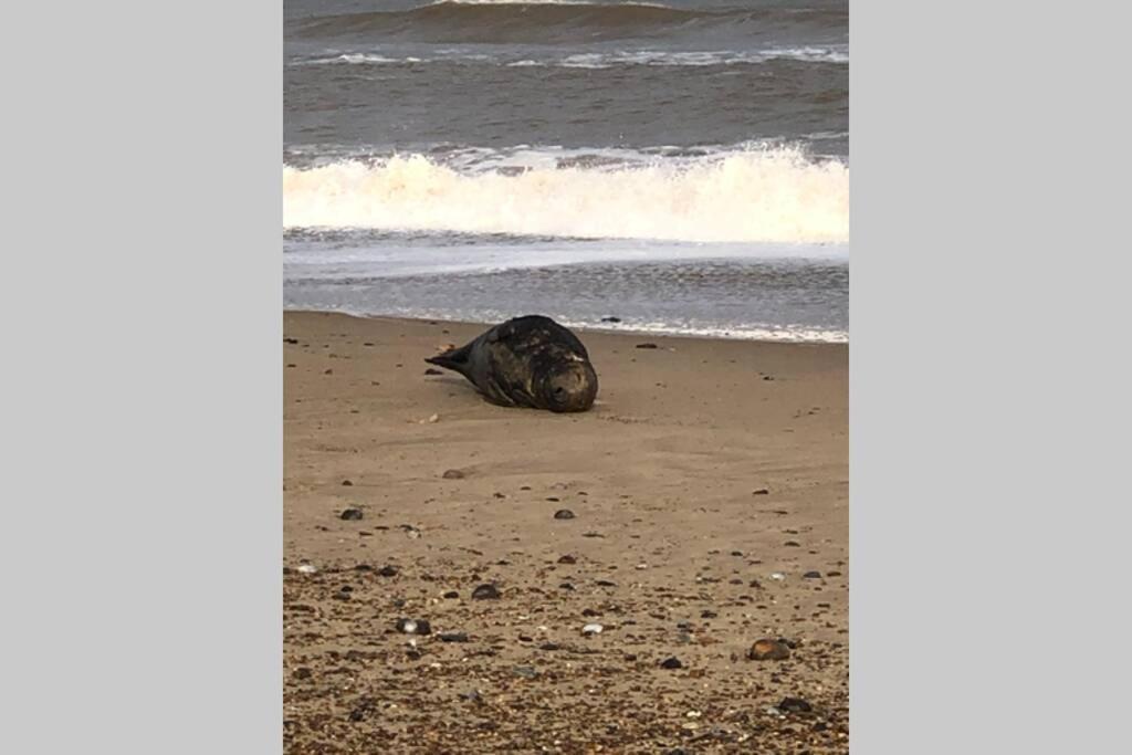Dog Friendly Cottage 2 Mins To Beach With Hot Tub And Zappi Ev Lessingham Bagian luar foto