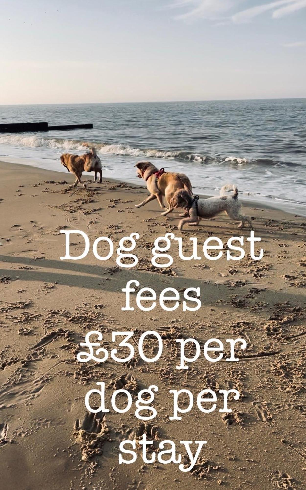 Dog Friendly Cottage 2 Mins To Beach With Hot Tub And Zappi Ev Lessingham Bagian luar foto